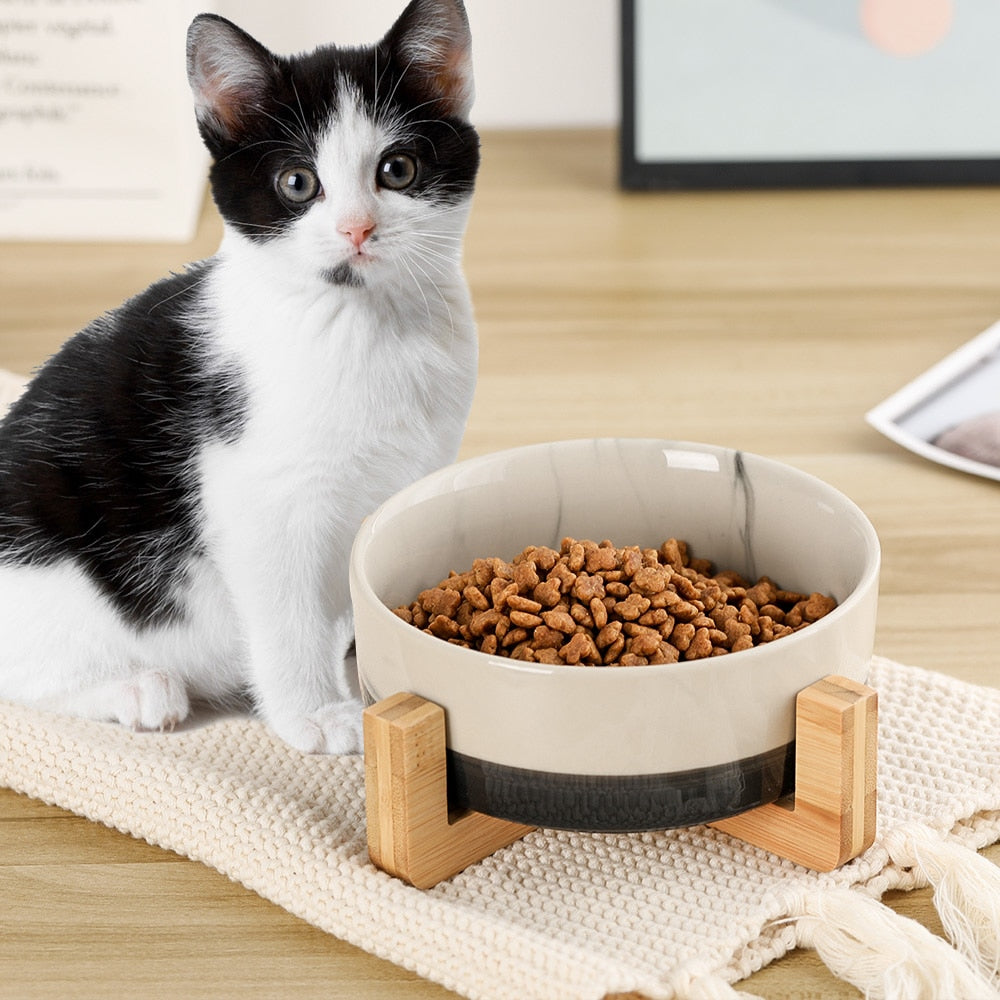 Ceramic Bowl Dish with Wood Stand