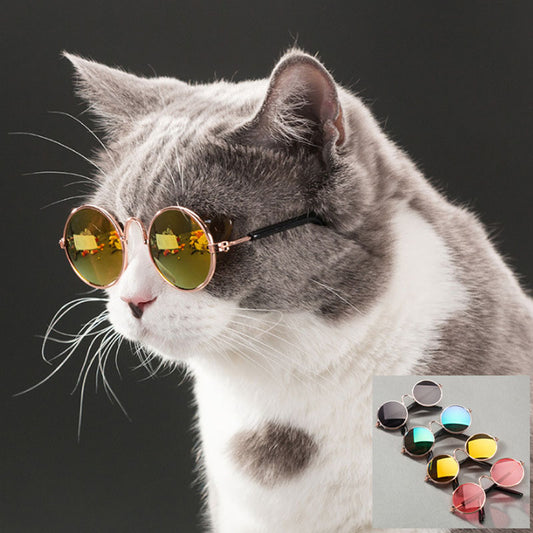 Cat Eye Wear Sunglasses - Photos Accessories