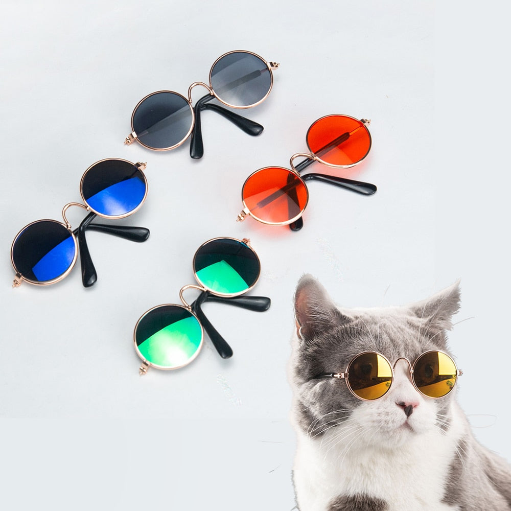 Cat Eye Wear Sunglasses - Photos Accessories