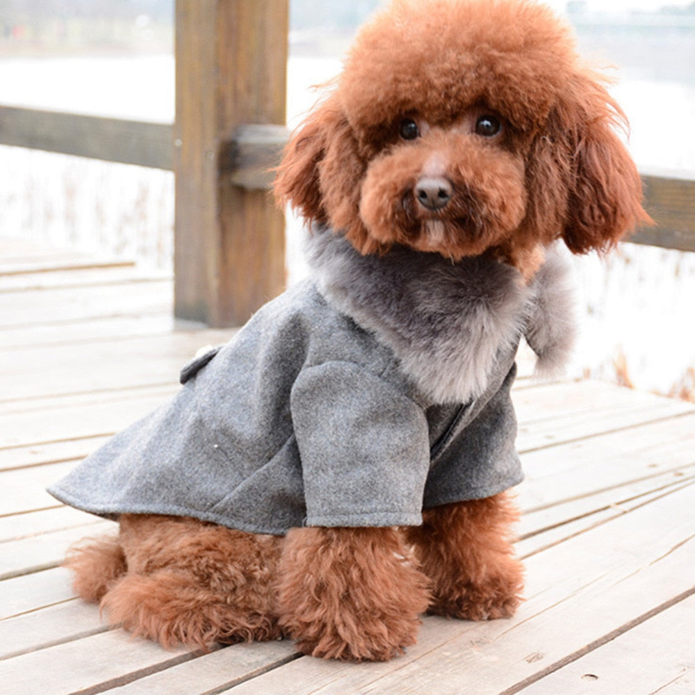 Winter Dog Clothes