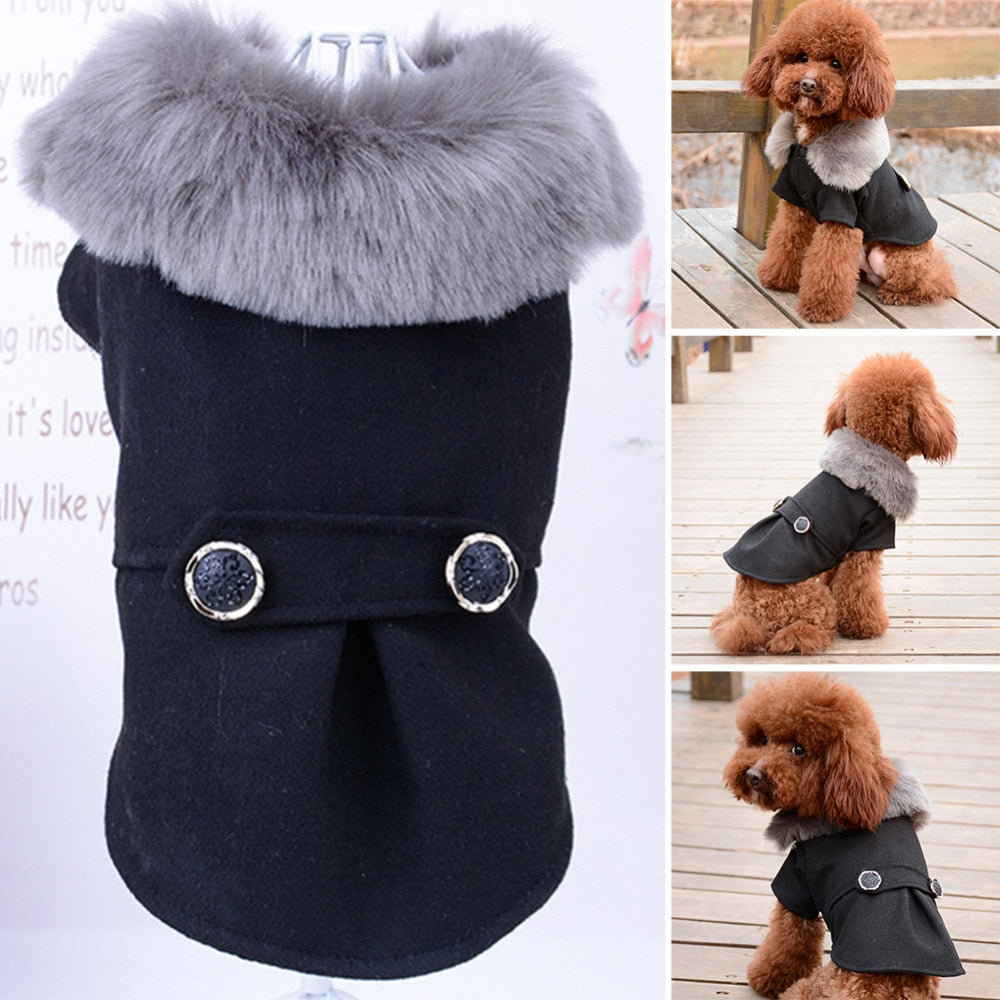 Winter Dog Clothes