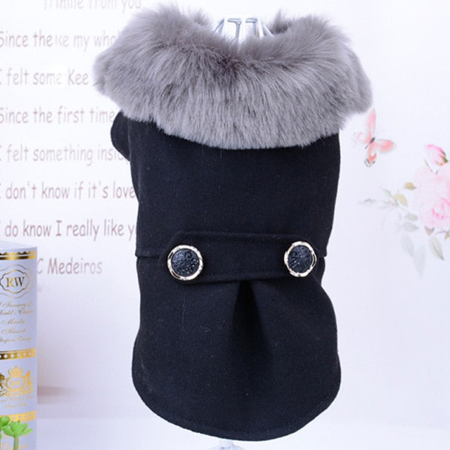 Winter Dog Clothes