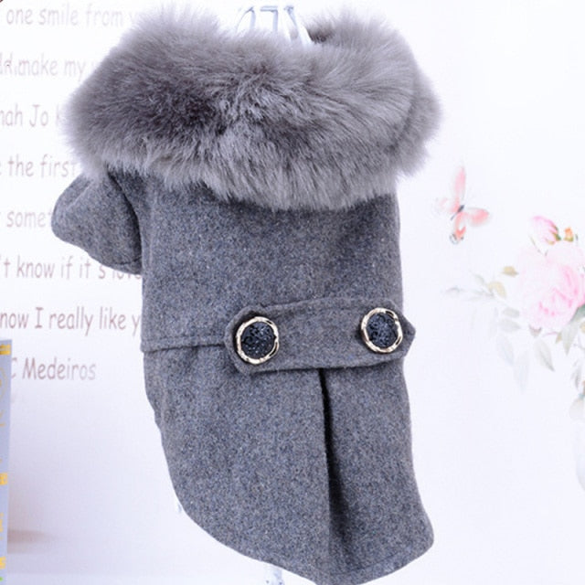 Winter Dog Clothes